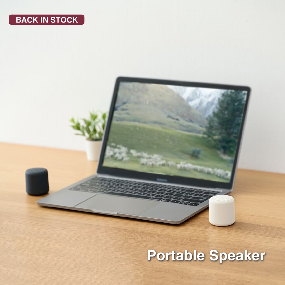 portable speaker
