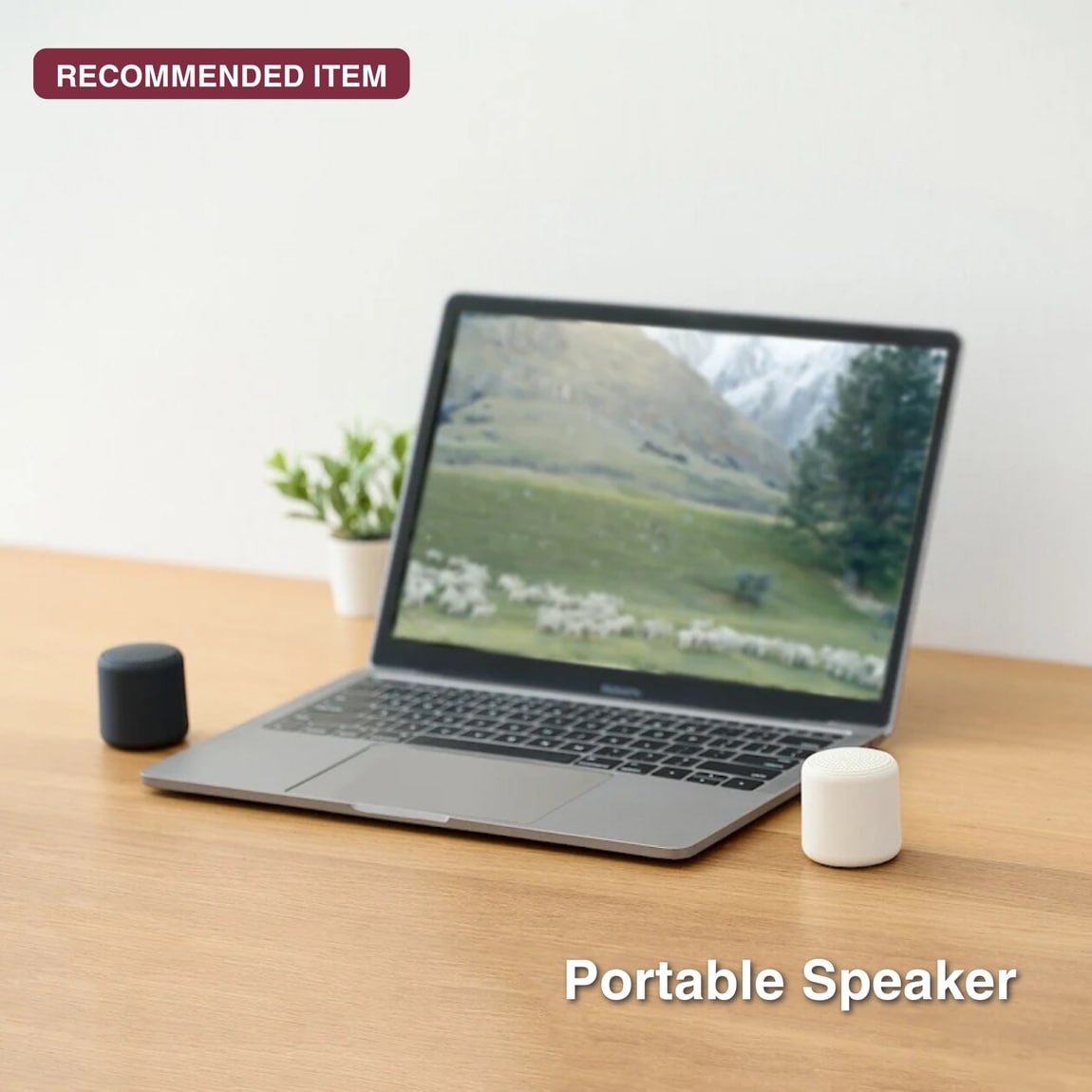 portable speaker