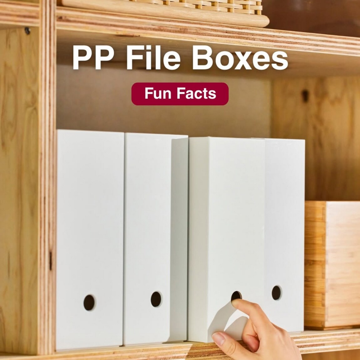 pp file box