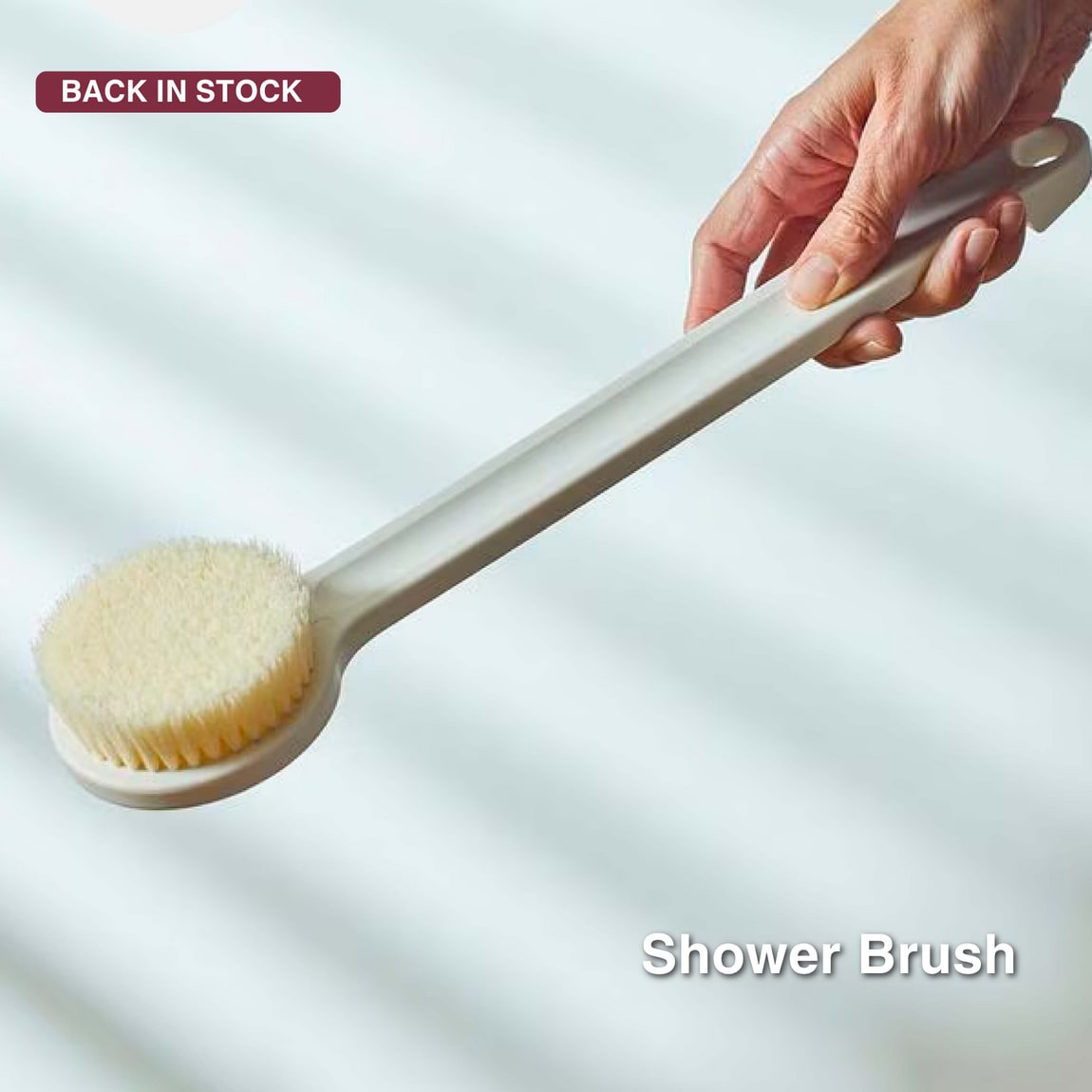 shower brush