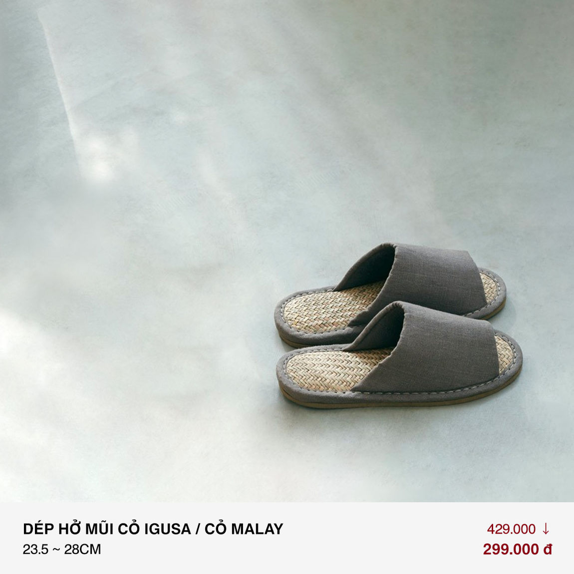 AugustPromo_2022_7