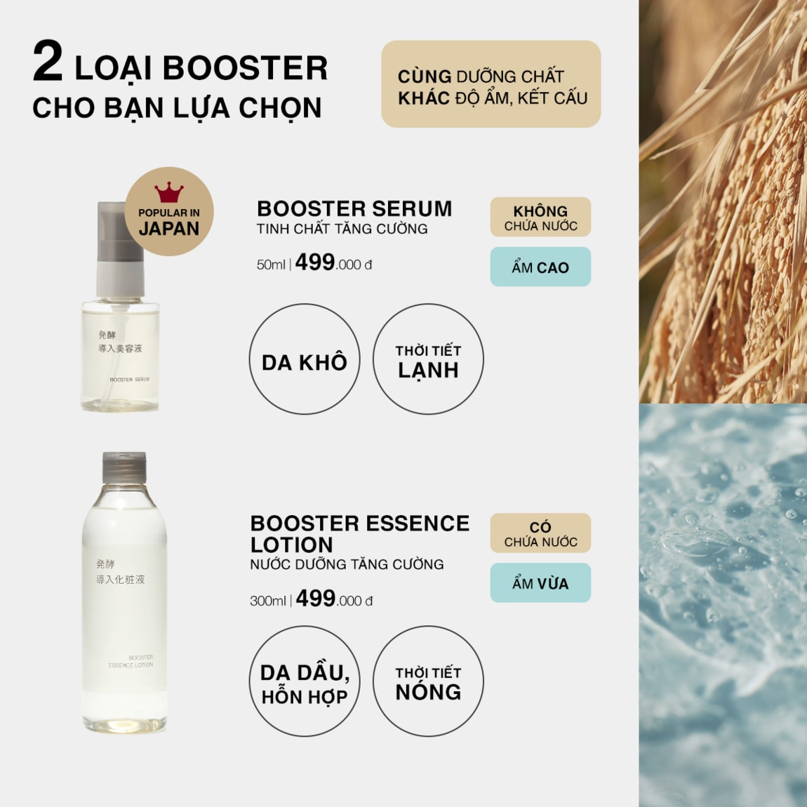 Booster 5