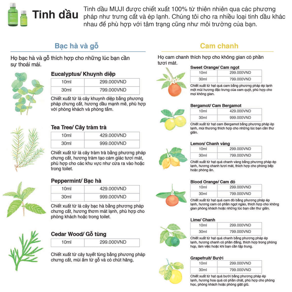 Essential oil 2