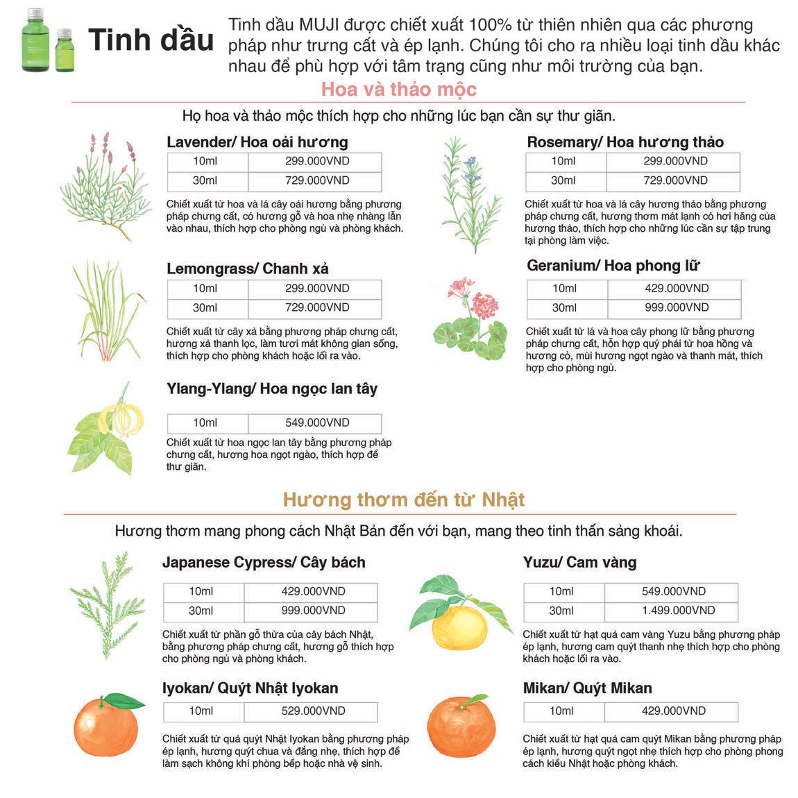 Essential oil 3