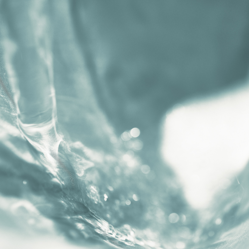 Fermented Rice Bran Grounds