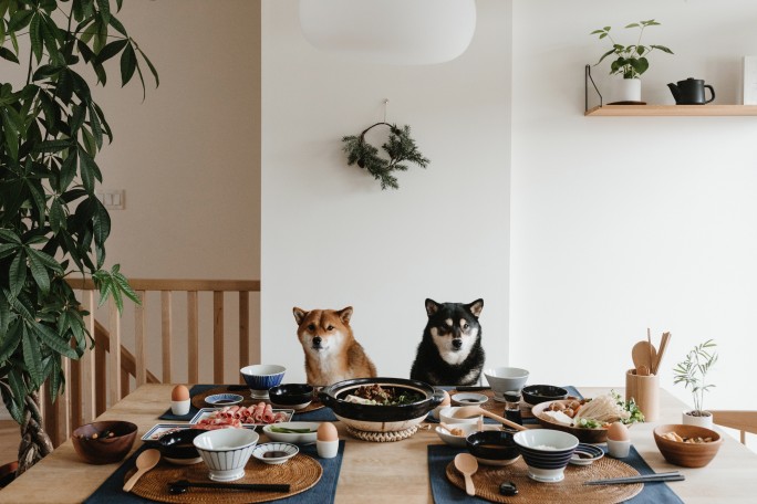 muji-milesnmyla-33