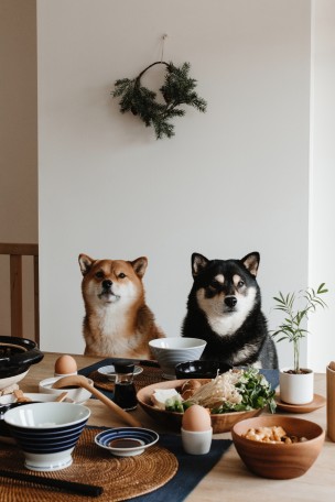 muji-milesnmyla-35