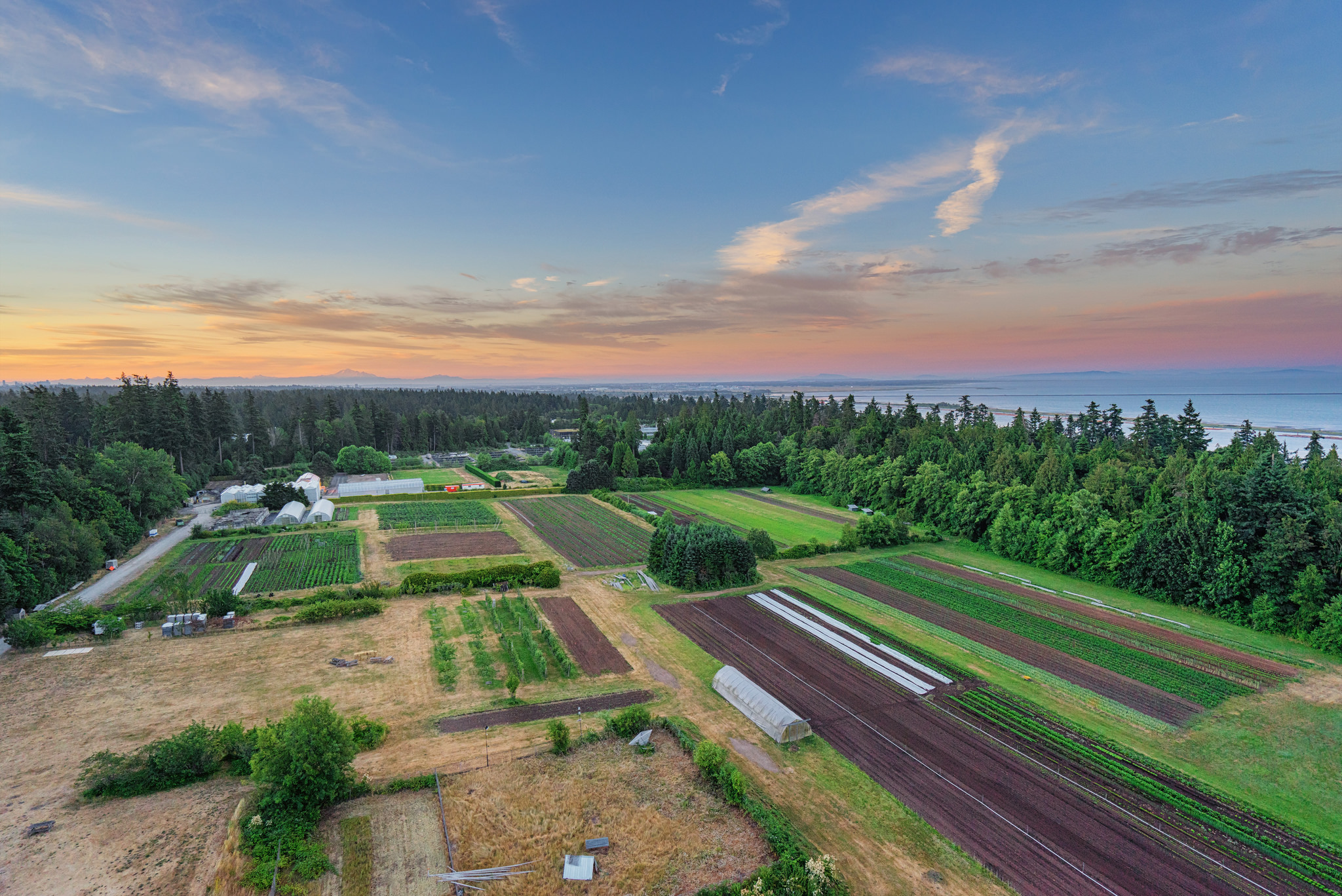 Aerial view of UBC Farm