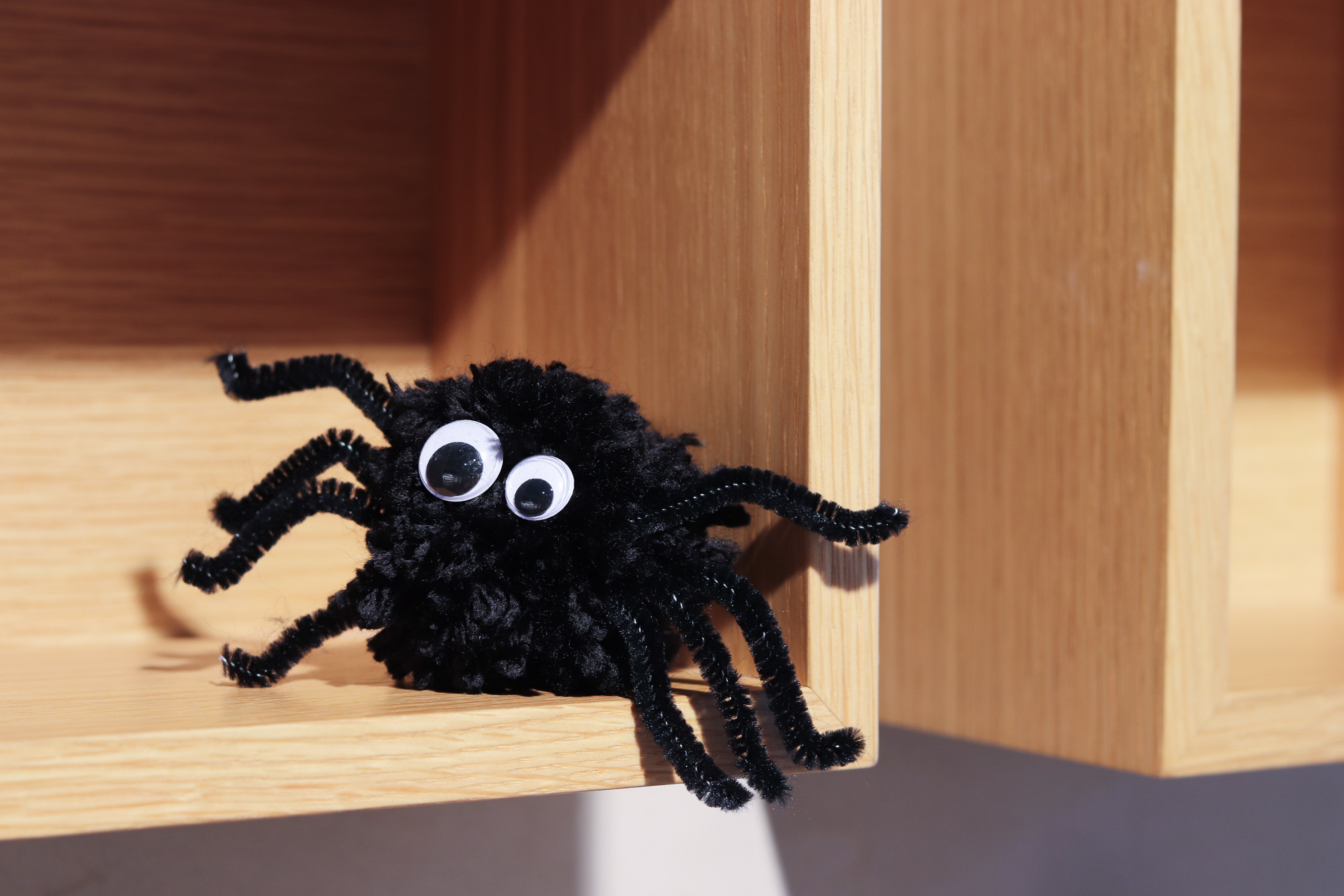 Pom-pom Spider