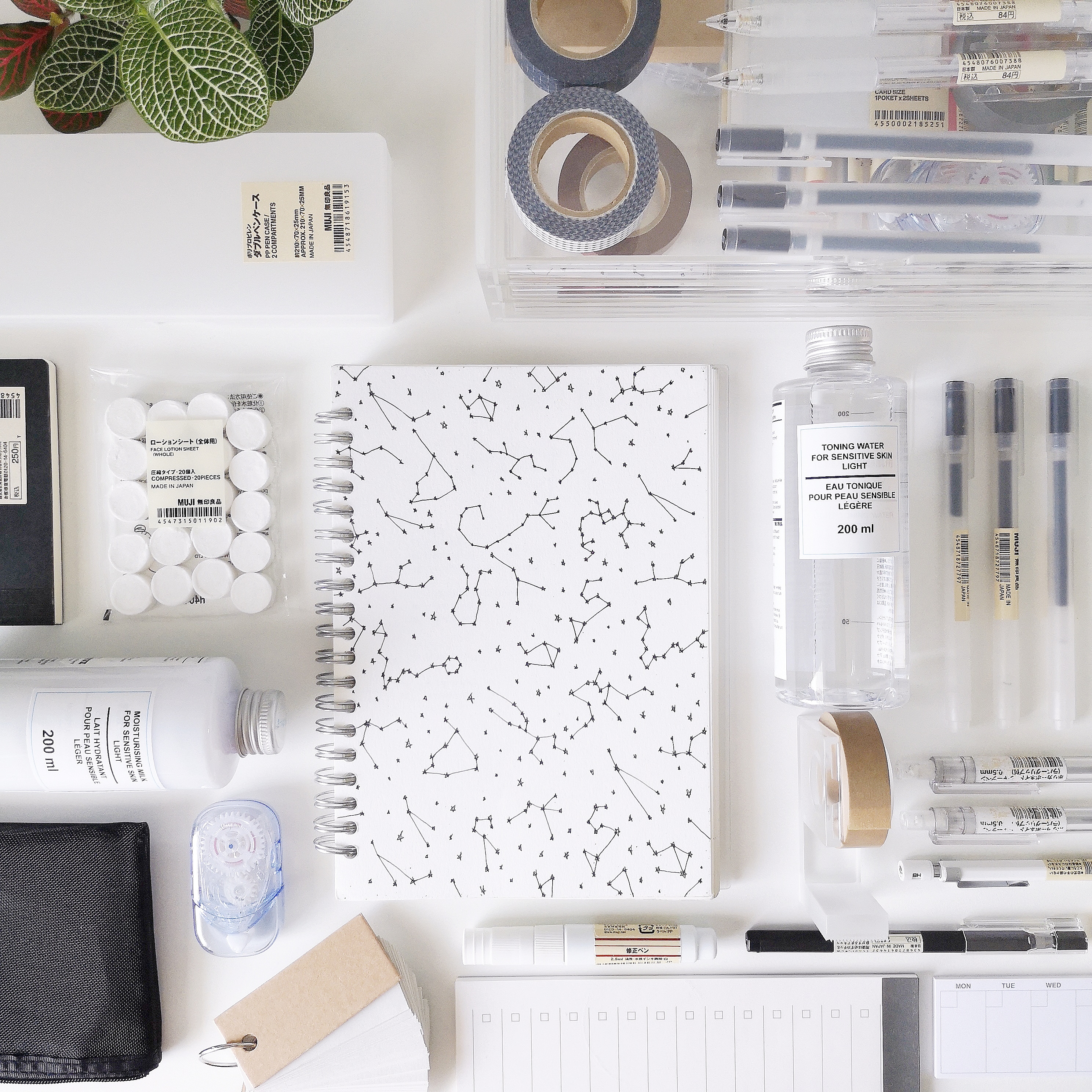 flatlay-photo