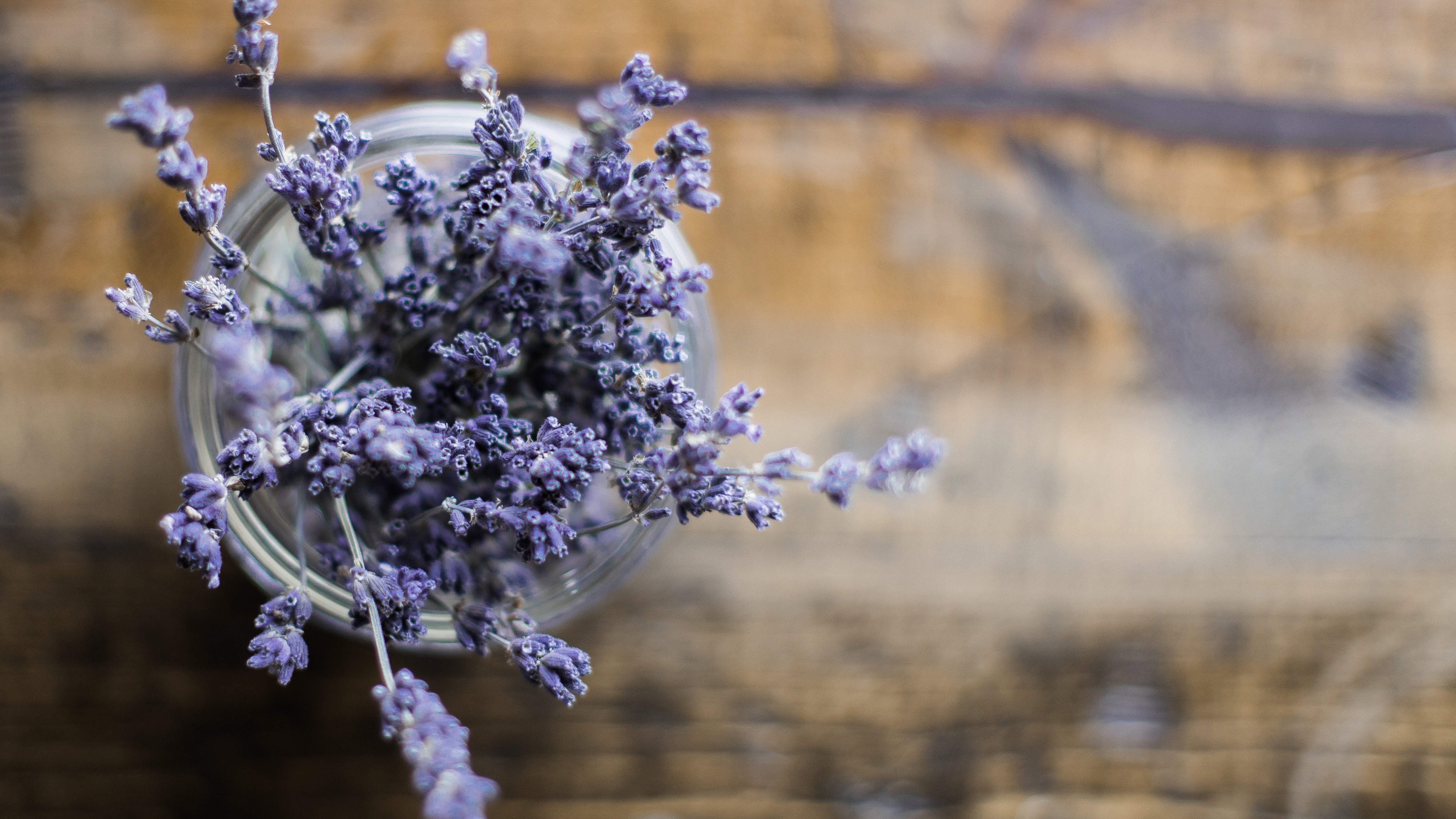 provence_en_couleur_muji_community_market