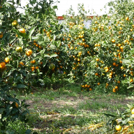 KakaoTalk_20201210_175301520_01