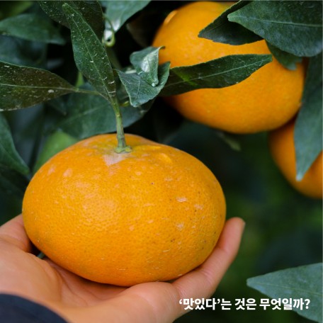 KakaoTalk_20210108_161709170_03