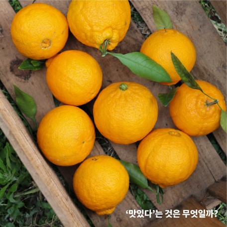 KakaoTalk_20210125_171024510