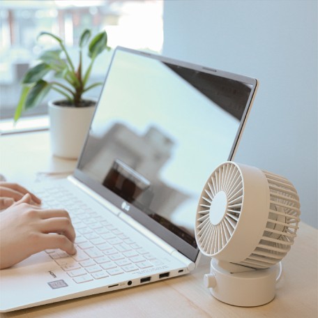 FAN (1)