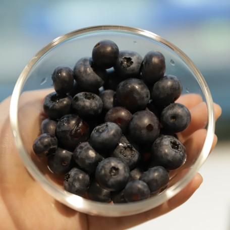 BLUEBERRY (2)
