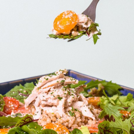 SALAD (2)