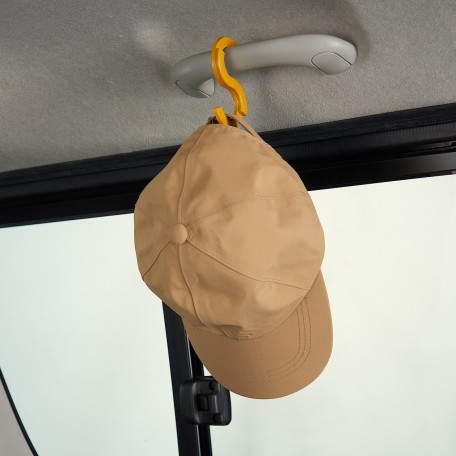 car (2)