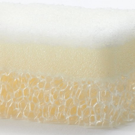 SPONGE (3)