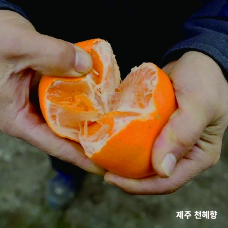 JEJU (9)