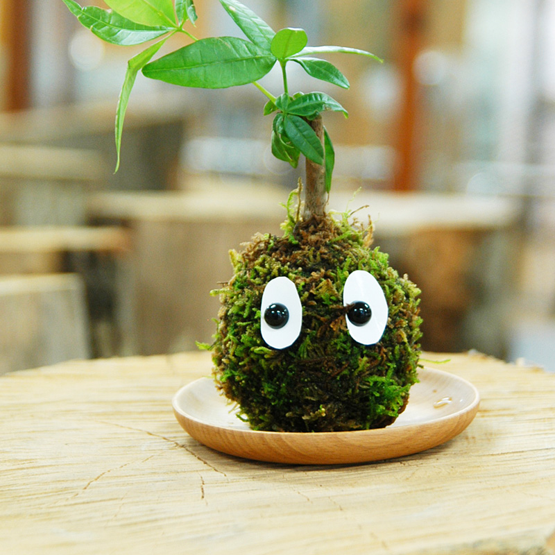 170503_kokedama_workshop