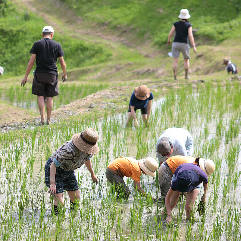 170617_kamogawa