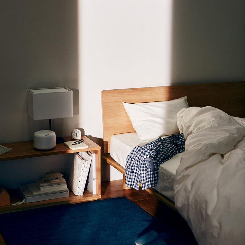 IA 冬棉 冬眠講座